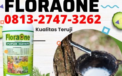 SEDANG PROMO! 0813-2747-3262, AGEN Trichoderma Pulau Punjung, Tricoderma Solok Selatan, Pupuk Tricoderma Padang Aro