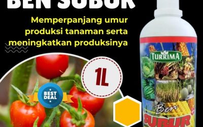 SEDANG PROMO! 0813-2747-3262, DISTRIBUTOR Pupuk Organik Ben Subur Aceh Tamiang, Pupuk Organik Karang Baru, Pupuk Organik Cair Aceh Tengah