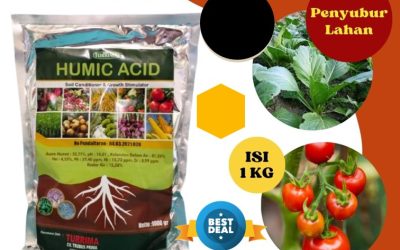 SEDANG PROMO! 0813-2747-3262, PUSAT Asam Humat Benjeng, Asam Humat Manyar, Asam Humat Sukowono