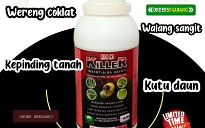 KUALITAS TERUJI 0813*2747*3262, AGEN Pembasmi Hama Lubuk Basung, Insektisida Lima Puluh Kota, Pestisida Sarilamak