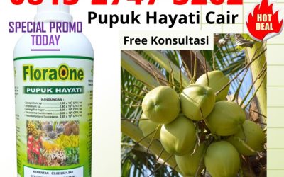 KUALITAS TERUJI! 0813-2747-3262, AGEN Pupuk Hayati Cair Lubuk Basung, Pupuk Trichoderma Lima Puluh Kota, Trichoderma Sarilamak