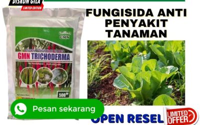 ORI! 0813-2747-3262 Agen Tricoderma Harzianum Banjarnegara, Harga Trichoderma Harzianum Banyumas, Grosir Pupuk Trichoderma Purwokerto