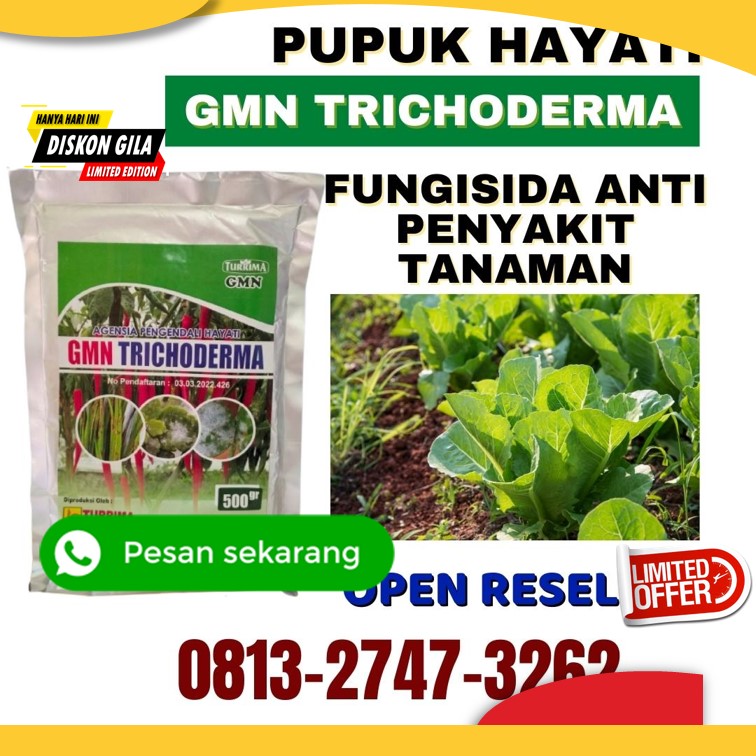 Agen Tricoderma Harzianum Banjarnegara, Harga Trichoderma Harzianum Banyumas, Grosir Pupuk Trichoderma Purwokerto
