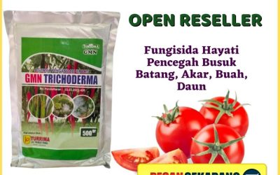 ASLI! 0813-2747-3262 Harga Trichoderma Harzianum Banyumas, Grosir Pupuk Trichoderma Purwokerto, Jual GMN Trichoderma Batang