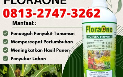 TERPERCAYA! 0813-2747-3262, TOKO Pupuk Trichoderma Lima Puluh Kota, Trichoderma Sarilamak, Tricoderma Pasaman