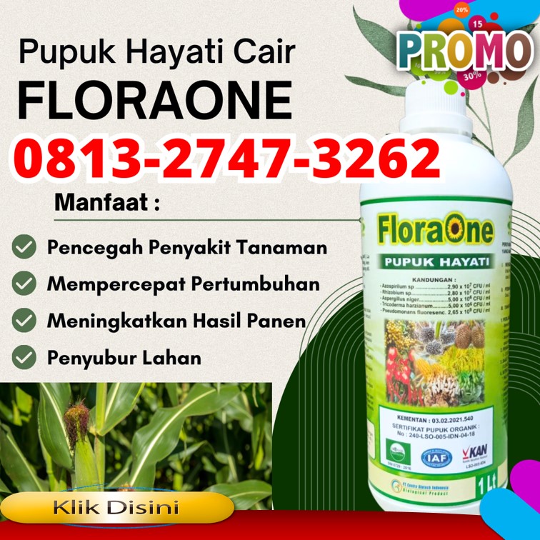 OKO Pupuk Hayati Cair Lima Puluh Kota, SUPPLIER Pupuk Trichoderma Sarilamak, Trichoderma Pasaman