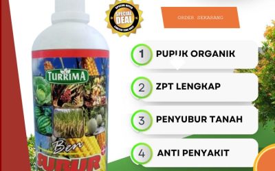 TERPERCAYA! 0813-2747-3262, SUPPLIER Pupuk Organik Cair Terbaik Kota Jantho, Pupuk Organik Terbaik Aceh Jaya, Pupuk Organik Ben Subur Calang
