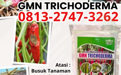 SUBUR! 0813-2747-3262 Suplier Tricoderma Harzianum Boyolali, Pusat Trichoderma Harzianum Brebes, Distributor Pupuk Trichoderma Cilacap