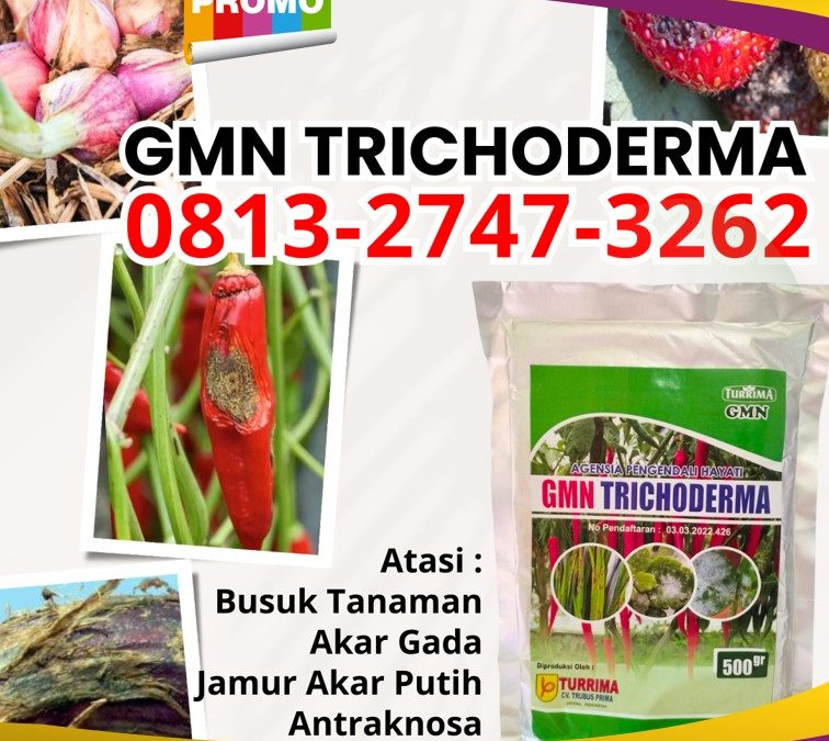 SUBUR! 0813-2747-3262 Suplier Tricoderma Harzianum Boyolali, Pusat Trichoderma Harzianum Brebes, Distributor Pupuk Trichoderma Cilacap