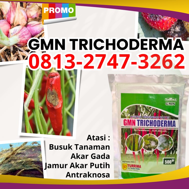 Suplier Tricoderma Harzianum Boyolali, Pusat Trichoderma Harzianum Brebes, Distributor Pupuk Trichoderma Cilacap