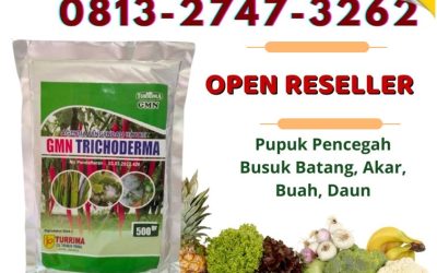 PROMO! 0813-2747-3262 Grosir Pupuk Trichoderma Purwokerto, Jual GMN Trichoderma Batang, Supplier Tricoderma Blora