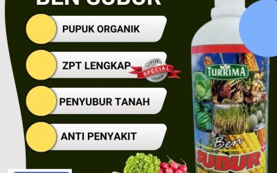 TELAH TERUJI! 0813-2747-3262, PRODUSEN Pupuk Organik Terbaik Aceh Jaya, Pupuk Organik Ben Subur Calang, Pupuk Organik Aceh Selatan