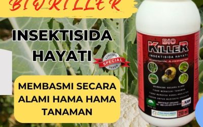 TELAH TERUJI 0813*2747*3262, SUPPLIER Pestisida Sarilamak, Obat Pembasmi Hama Pasaman, Obat Hama Lubuk Sikaping