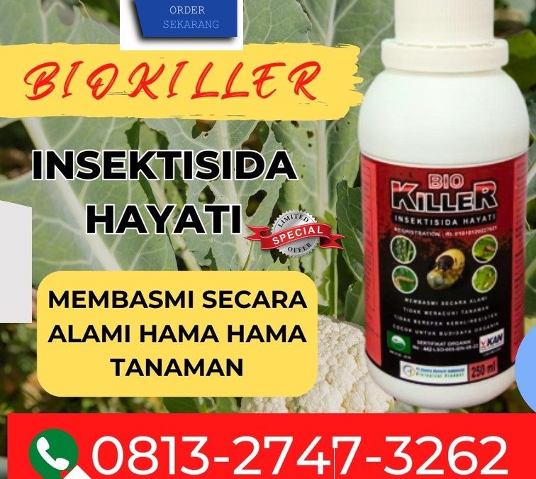 TELAH TERUJI 0813*2747*3262, SUPPLIER Pestisida Sarilamak, Obat Pembasmi Hama Pasaman, Obat Hama Lubuk Sikaping