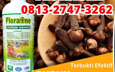ASLI! 0813-2747-3262, SUPPLIER Trichoderma Sarilamak, Tricoderma Pasaman, Pupuk Tricoderma Lubuk Sikaping