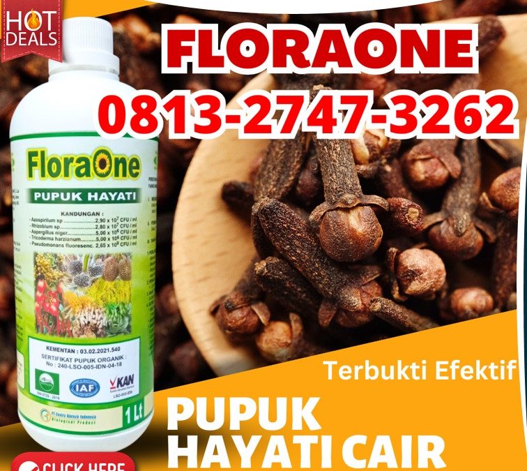 SUPPLIER Pupuk Trichoderma Sarilamak, PRODUSEN Trichoderma Pasaman, trichoderma untuk antraknosa Lubuk Sikaping