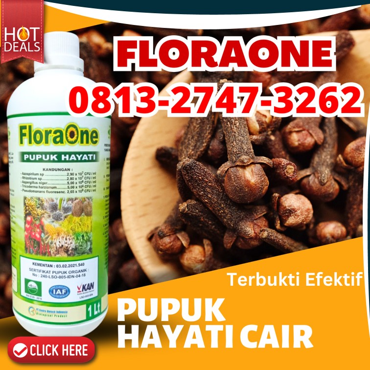 SUPPLIER Pupuk Trichoderma Sarilamak, PRODUSEN Trichoderma Pasaman, trichoderma untuk antraknosa Lubuk Sikaping