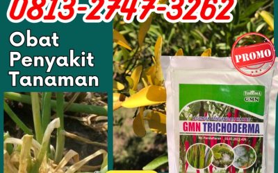 TERBAIK! 0813-2747-3262 Distributor Pupuk Trichoderma Cilacap, Produsen GMN Trichoderma Demak, Pabrik Tricoderma Purwodadi