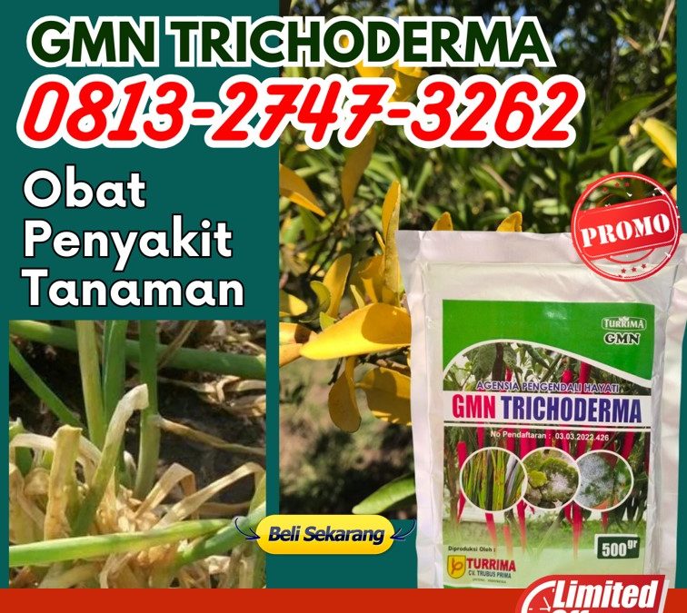 TERBAIK! 0813-2747-3262 Distributor Pupuk Trichoderma Cilacap, Produsen GMN Trichoderma Demak, Pabrik Tricoderma Purwodadi