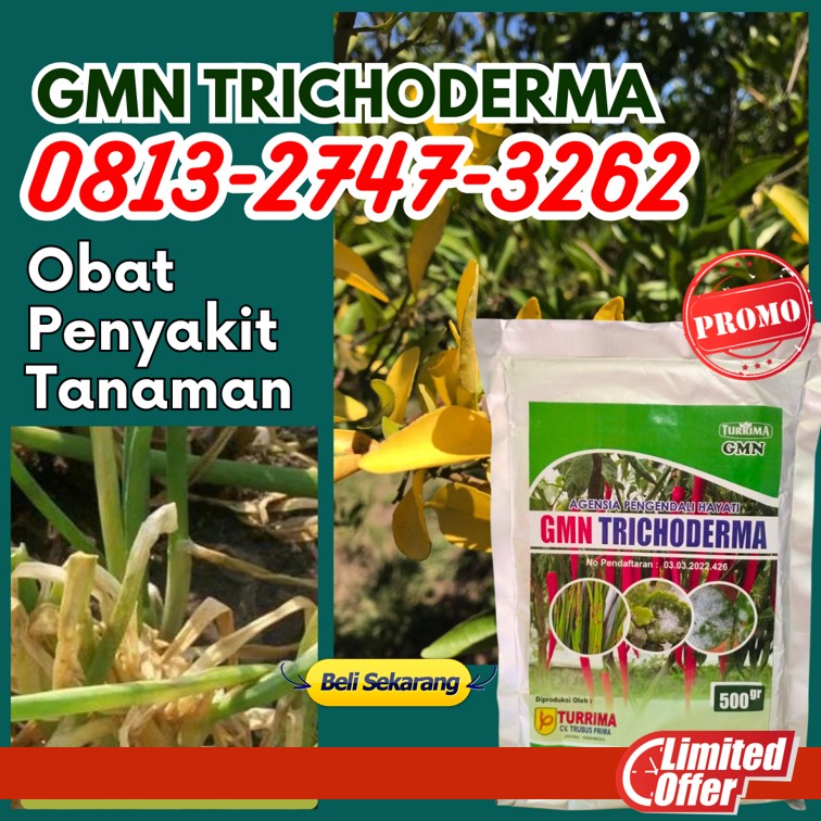 Distributor Pupuk Trichoderma Cilacap, Produsen GMN Trichoderma Demak, Pabrik Tricoderma Purwodadi