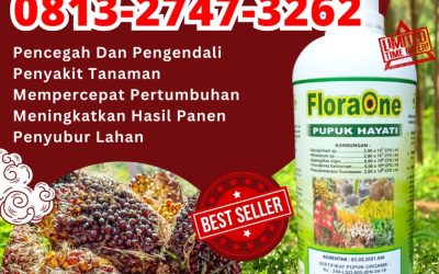 SUBUR! 081228824834, AGEN Trichoderma Sijunjung, Tricoderma Muaro Sijunjung, Pupuk Tricoderma Tanah Datar