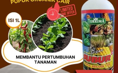 OPEN RESELLER! 0813-2747-3262, PUSAT Pupuk Organik Ben Subur Calang, Pupuk Organik Aceh Selatan, Pupuk Organik Cair Tapak Tuan