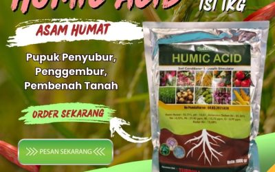 FREE KONSULTASI! 0813-2747-3262, AGEN Asam Humat Cermee, Asam Humat Wringin, Asam Humat Balongpanggang