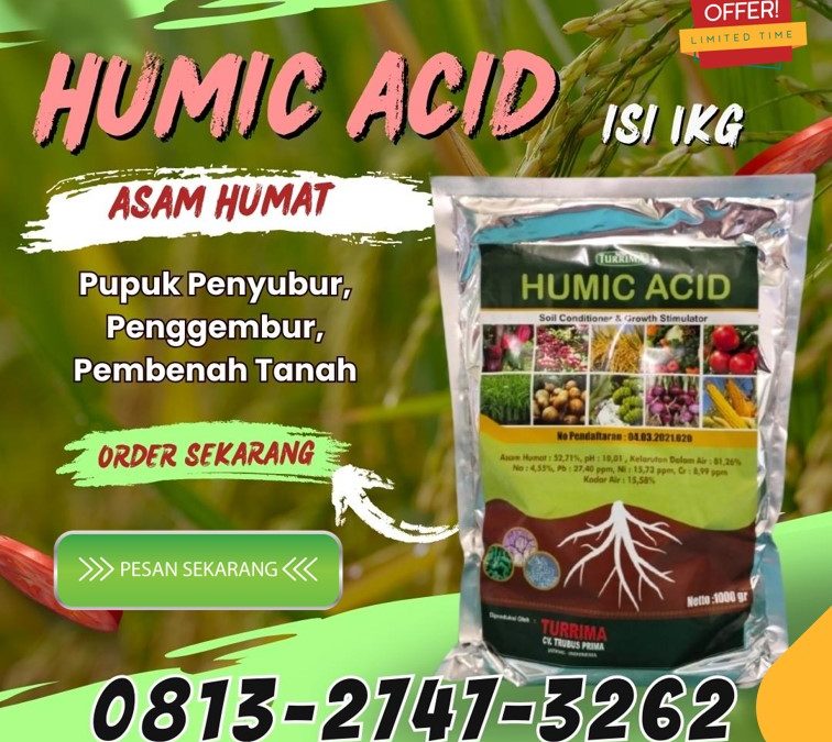 FREE KONSULTASI! 0813-2747-3262, AGEN Asam Humat Cermee, Asam Humat Wringin, Asam Humat Balongpanggang