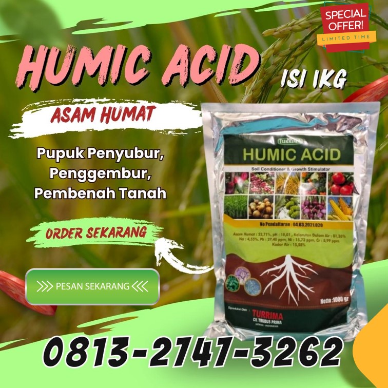 AGEN Asam Humat Tanaman Cermee, DISTRIBUTOR Asam Humat Untuk Tanaman Wringin, Pupuk Asam Humat Terbaik Balongpanggang