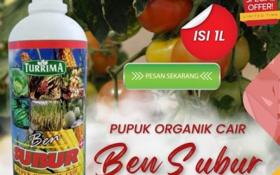 FREE KONSULTASI! 0813-2747-3262, JUAL Pupuk Organik Aceh Selatan, Pupuk Organik Cair Tapak Tuan, Pupuk Organik Cair Terbaik Aceh Singkil