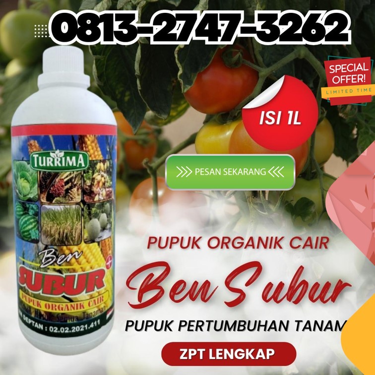JUAL Pupuk Organik Anggur Aceh Selatan, GROSIR Pupuk Organik Asam Amino Tapak Tuan, Pupuk Organik Alpukat Aceh Singkil