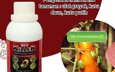 FREE KONSULTASI 0813*2747*3262, PUSAT Obat Hama Lubuk Sikaping, Pembasmi Hama Kepulauan Mentawai, Insektisida Tuapejat