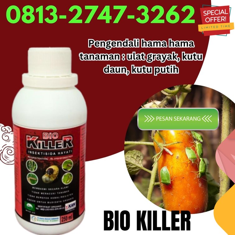 PUSAT Obat Pembasmi Hama Lubuk Sikaping, JUAL Obat Pembasmi Hama Tanaman Kepulauan Mentawai, Obat Pembasmi Hama Cabe Tuapejat