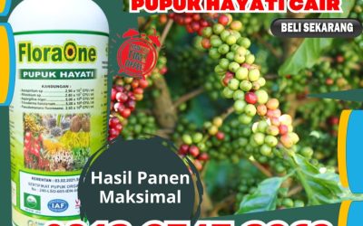 FREE KONSULTASI! 0813-2747-3262, PUSAT Pupuk Tricoderma Lubuk Sikaping, Pupuk Trichoderma Cair Kepulauan Mentawai, Pupuk Hayati Cair Tuapejat