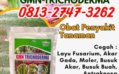 TERLARIS! 0813-2747-3262 Produsen GMN Trichoderma Demak, Pabrik Tricoderma Purwodadi, Agen Tricoderma Harzianum Jepara