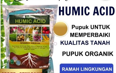 LEGALITAS KEMENTAN! 0813-2747-3262, DISTRIBUTOR Asam Humat Wringin, Asam Humat Balongpanggang, Asam Humat Dukun