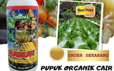 LEGALITAS KEMENTAN! 0813-2747-3262, GROSIR Pupuk Organik Cair Tapak Tuan, Pupuk Organik Cair Terbaik Aceh Singkil, Pupuk Organik Terbaik Singkil