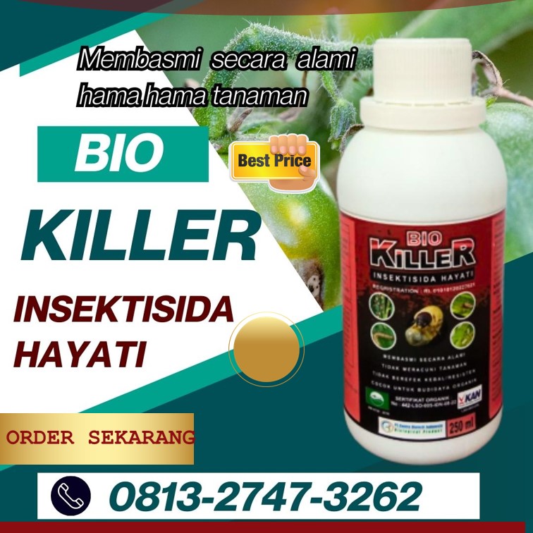 JUAL Obat Pembasmi Hama Tanaman Kepulauan Mentawai, GROSIR Obat Pembasmi Hama Cabe Tuapejat, Pembasmi Hama Wereng Alami Dharmasraya