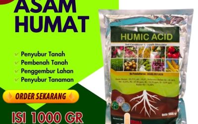 AMANAH! 0813-2747-3262, AGEN Asam Humat Balongpanggang, Asam Humat Dukun, Asam Humat Benjeng