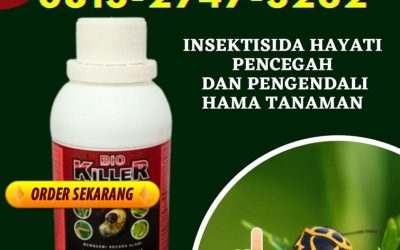 AMANAH 0813*2747*3262, GROSIR Insektisida Tuapejat, Pestisida Dharmasraya, Obat Pembasmi Hama Pulau Punjung
