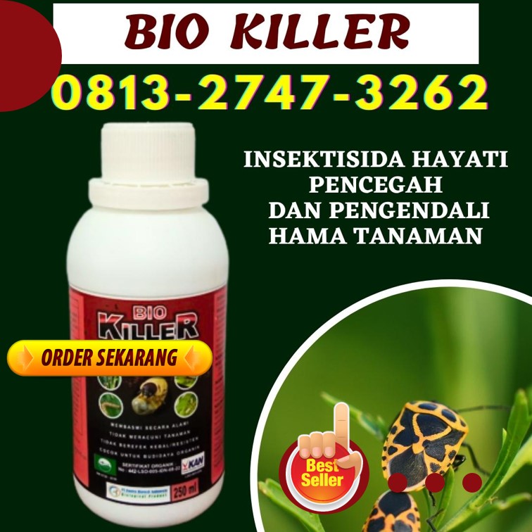 GROSIR Obat Pembasmi Hama Cabe Tuapejat, HARGA Pembasmi Hama Wereng Alami Dharmasraya, Pembasmi Hama Keong Alami Pulau Punjung