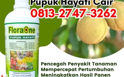 AMANAH! 0813-2747-3262, GROSIR Pupuk Hayati Cair Tuapejat, Pupuk Trichoderma Dharmasraya, Trichoderma Pulau Punjung