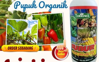 ORI! 0813-2747-3262, AGEN Pupuk Organik Terbaik Singkil, Pupuk Organik Ben Subur Aceh Tamiang, Pupuk Organik Karang Baru