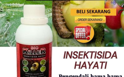 ORI 0813*2747*3262, HARGA Pestisida Dharmasraya, Obat Pembasmi Hama Pulau Punjung, Obat Hama Solok Selatan