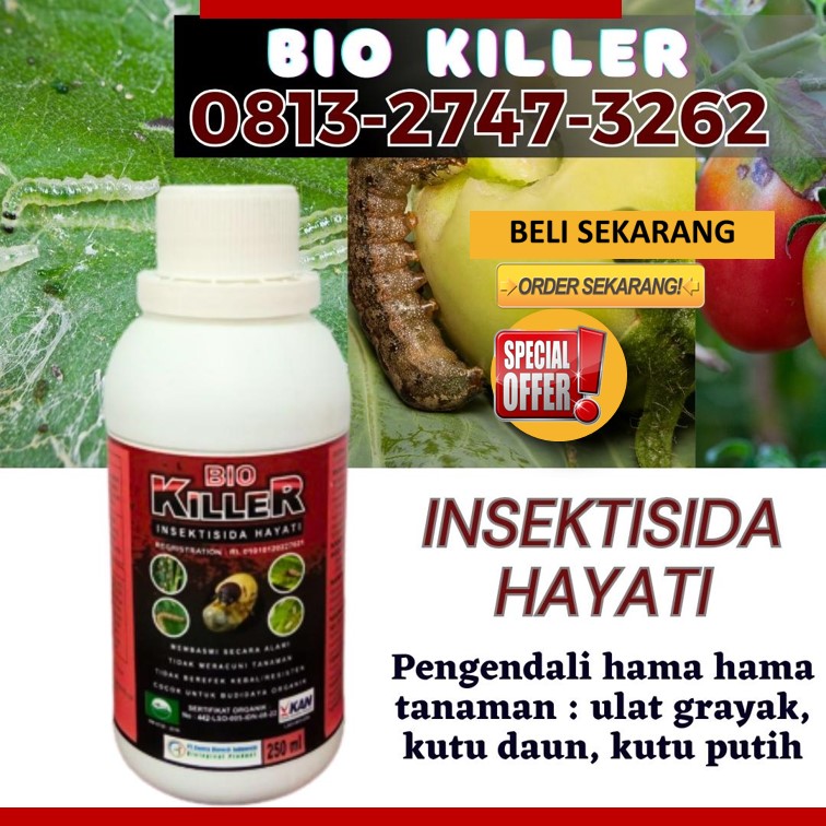 HARGA Pembasmi Hama Wereng Alami Dharmasraya, AGEN Pembasmi Hama Keong Alami Pulau Punjung, Pembasmi Hama Belalang Solok Selatan