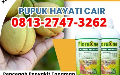 ORI! 0813-2747-3262, HARGA Pupuk Trichoderma Dharmasraya, Trichoderma Pulau Punjung, Tricoderma Solok Selatan