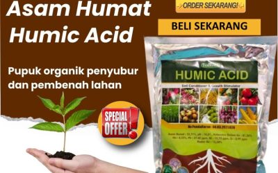 ORI! 0813-2747-3262, TOKO Asam Humat Dukun, Asam Humat Benjeng, Asam Humat Manyar
