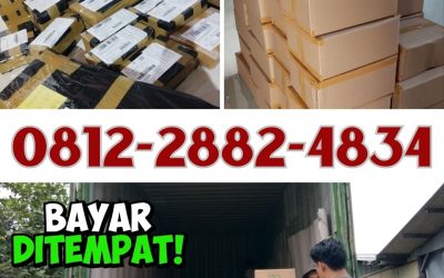 ALAMI! 0812*2882*4834, AGEN Biotek Trichoderma Rejang Lebong