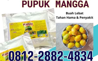 ORGANIK! 0812-2882-4834, AGEN Booster Mangga Batang