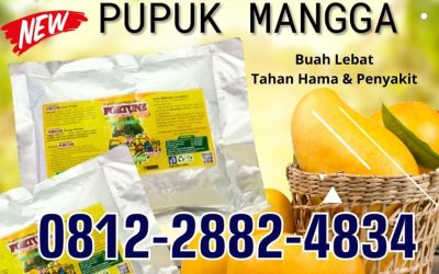 FREE KONSULTASI! 0812-2882-4834, AGEN Booster Mangga Kebumen